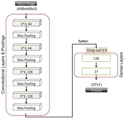 Accurate species identification of food-contaminating beetles with quality-improved elytral images and deep learning